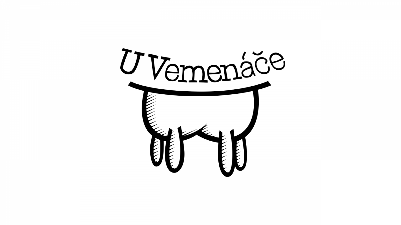 corporate-identity-u-vemenace